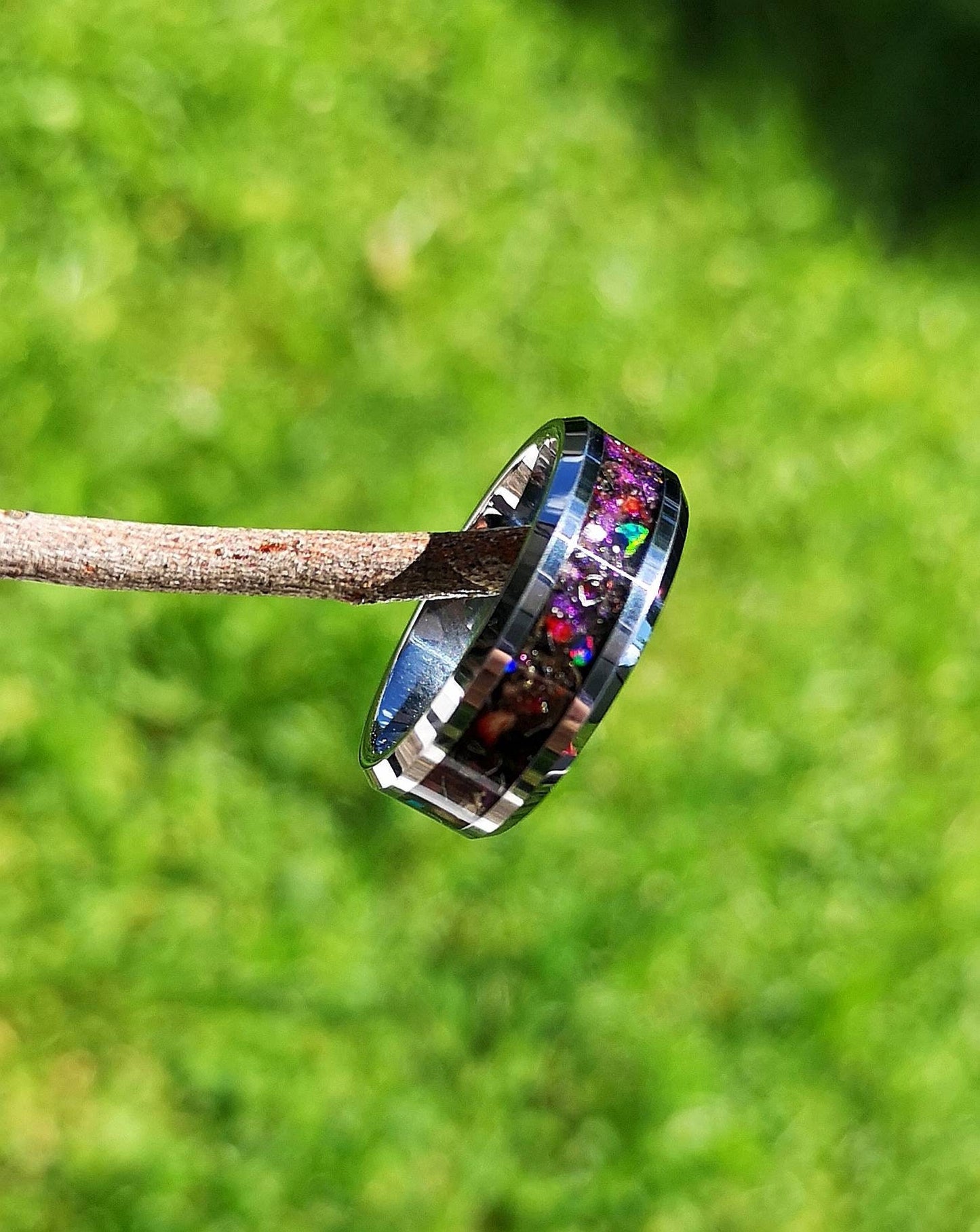 The Nebula Cradle