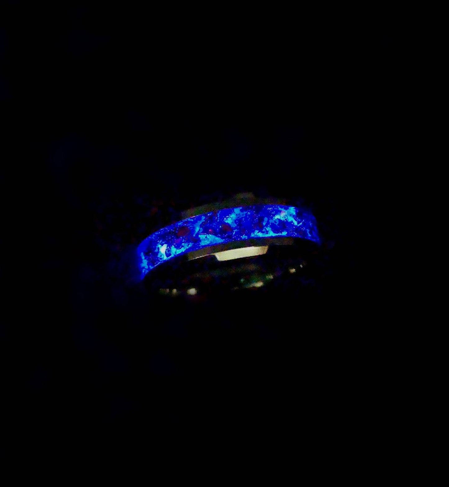 The Nebula Cradle