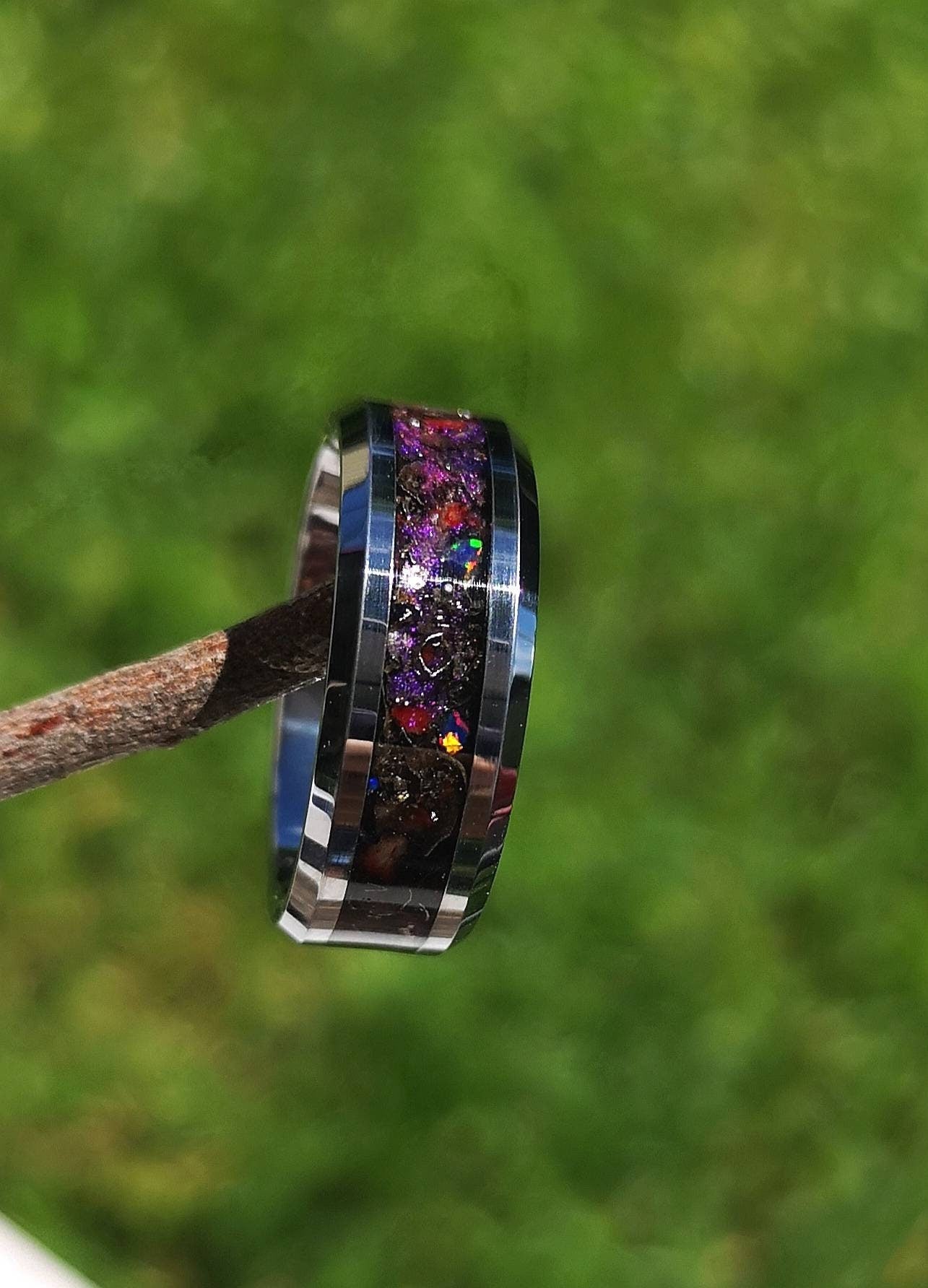 The Nebula Cradle