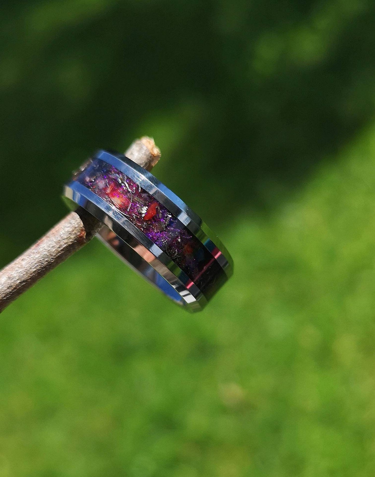 The Nebula Cradle